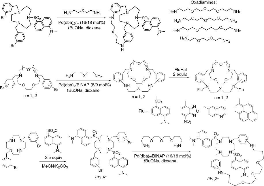 Scheme 17: 
          Pd(0)-catalyzed amination in the synthesis of chemosensors with exocyclic fluorophore moieties.
        