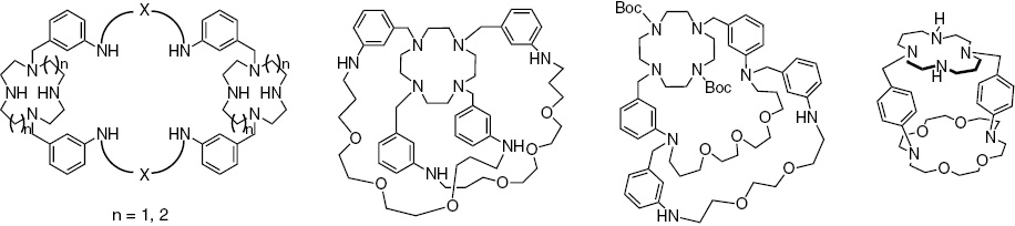 Scheme 18: 
          Macropolycyclic compounds synthesized via Pd-catalyzed amination reactions.
        