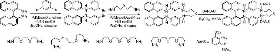 Scheme 21: 
          Pd(0)-catalyzed amination in the synthesis of the macrocycles with chiral BINAM and fluorescent dansyl moieties.
        