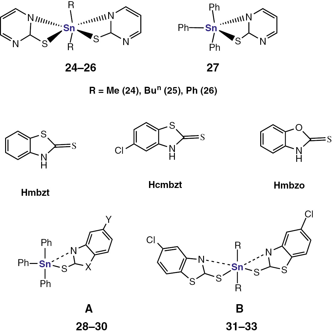 Scheme 8: 
            Formulae of the complexes 24–33. [(C6H5)3Sn(mbzt)] (28) (A; X=S, Y=H), [(C6H5)3Sn(mbzo)] (29) (A; X=O, Y=H), [(C6H5)3Sn (cmbzt)] (30) (A; X=S, Y=Cl), [(C6H5)3Sn(cmbzt)2] (31) (B; R=C6H5-), [(n-C4H9)2Sn(cmbzt)2] (32) (B; R=n-C4H9-) and [(CH3)2Sn(cmbzt)2] (33) (B; R=CH3-).
          
