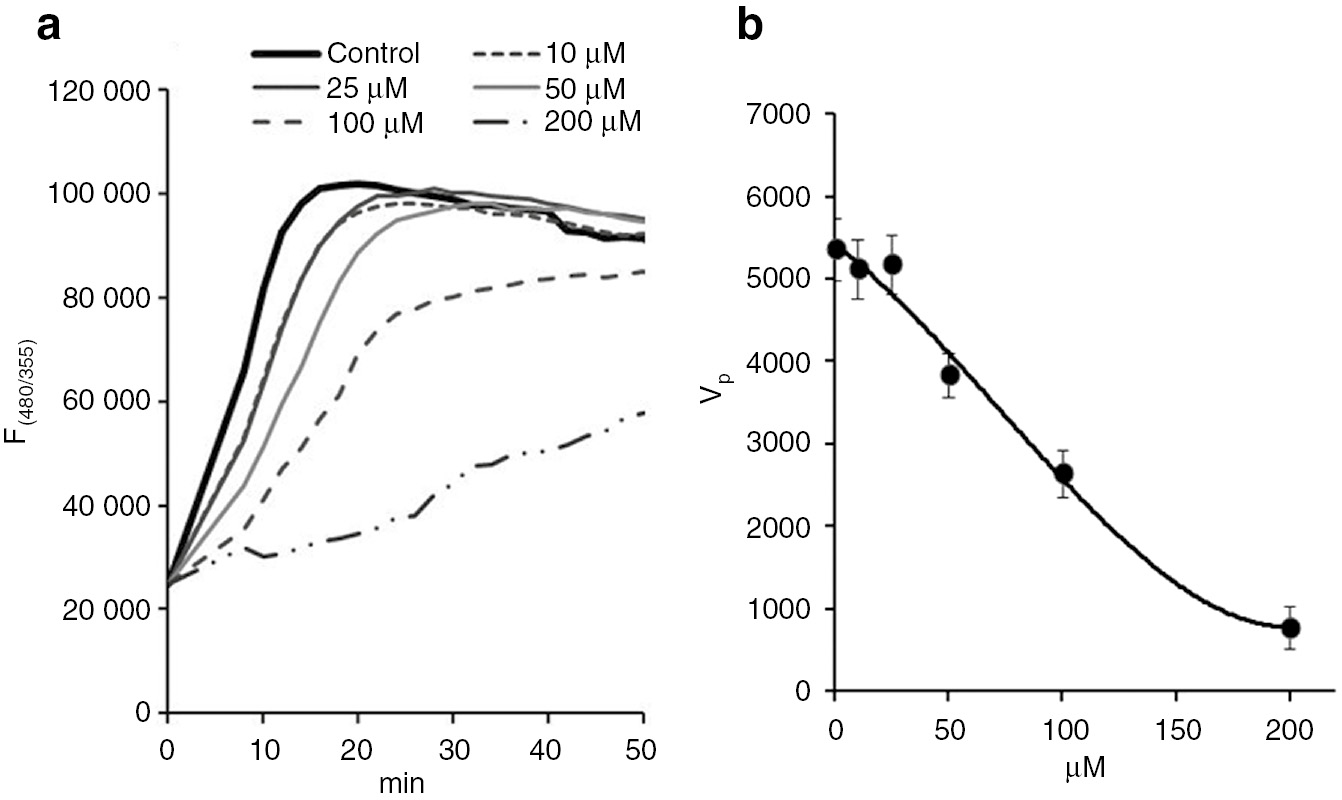 Fig. 3:
The influence of compound 37b on tubulin polymerization (a) kinetic curve of tubulin polymerization as the change in fluorescence intensity; (b) the concentration dependence of tubulin polymerization rate (Vp) in the presence of compound 37b.