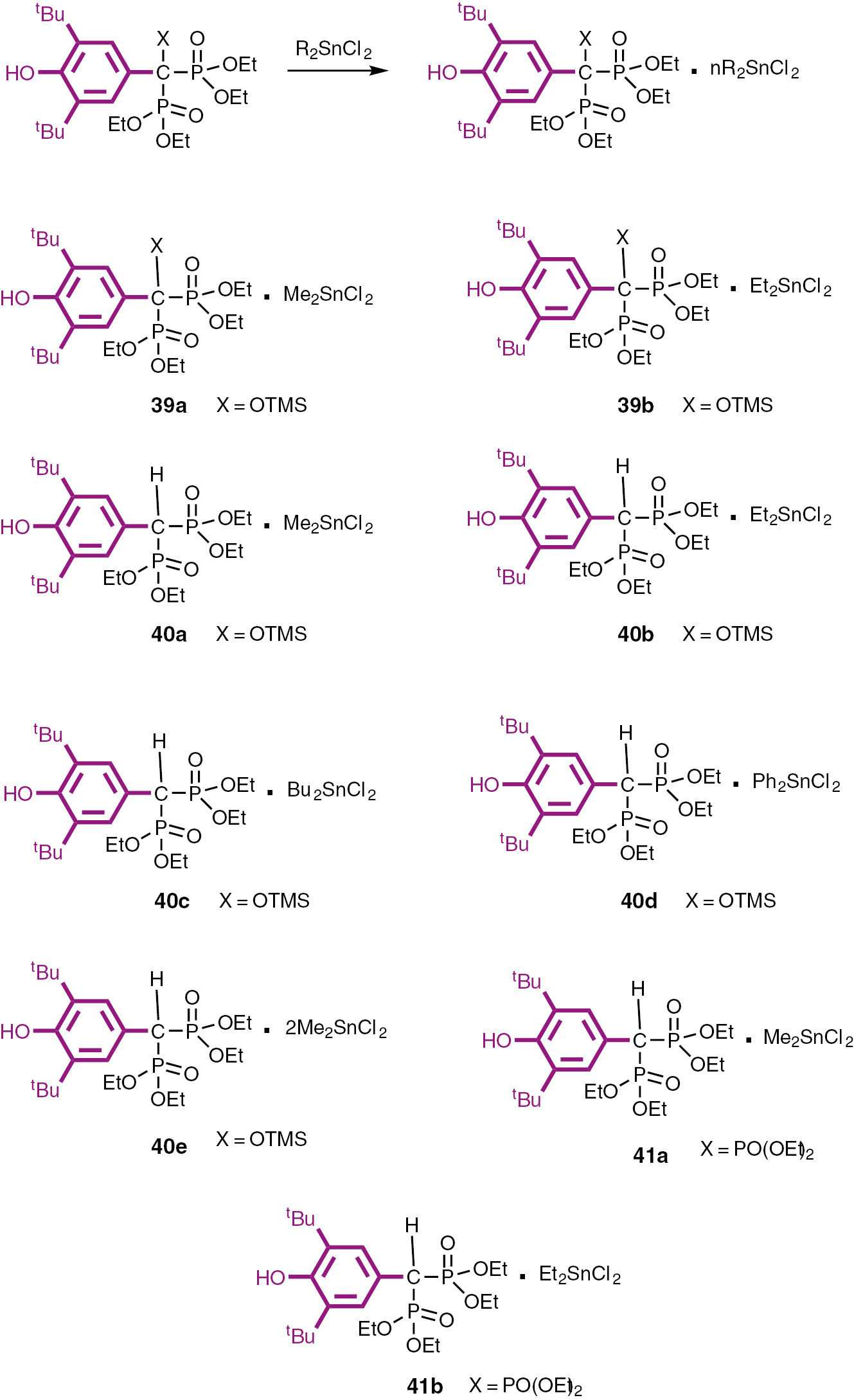 Scheme 11:
Preparation and formulae of organotin complexes with bis- and tris-phosphonate derivatives of BHT.