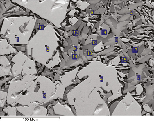Fig. 2: 
            Phase composition of sinter (Table 1) in BES mode (×500), electronic microscope TESCAN MIRA 3 LMU.
          