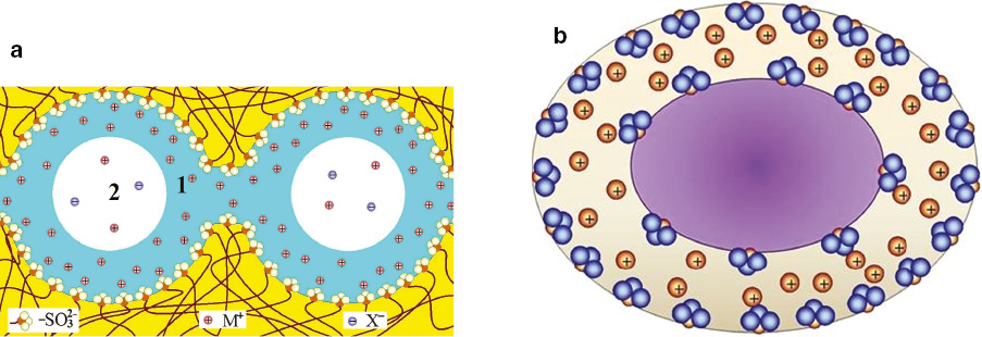 Fig. 4: 
            Schematic distribution of positively and negatively charged ions in the pores of an ion exchange membrane (1 – the Debye layer, 2 – the electroneutral solution) (a) and the formation of the second Debye layer after insertion of a dopant nanoparticle with an acidic surface (b) [77].
          