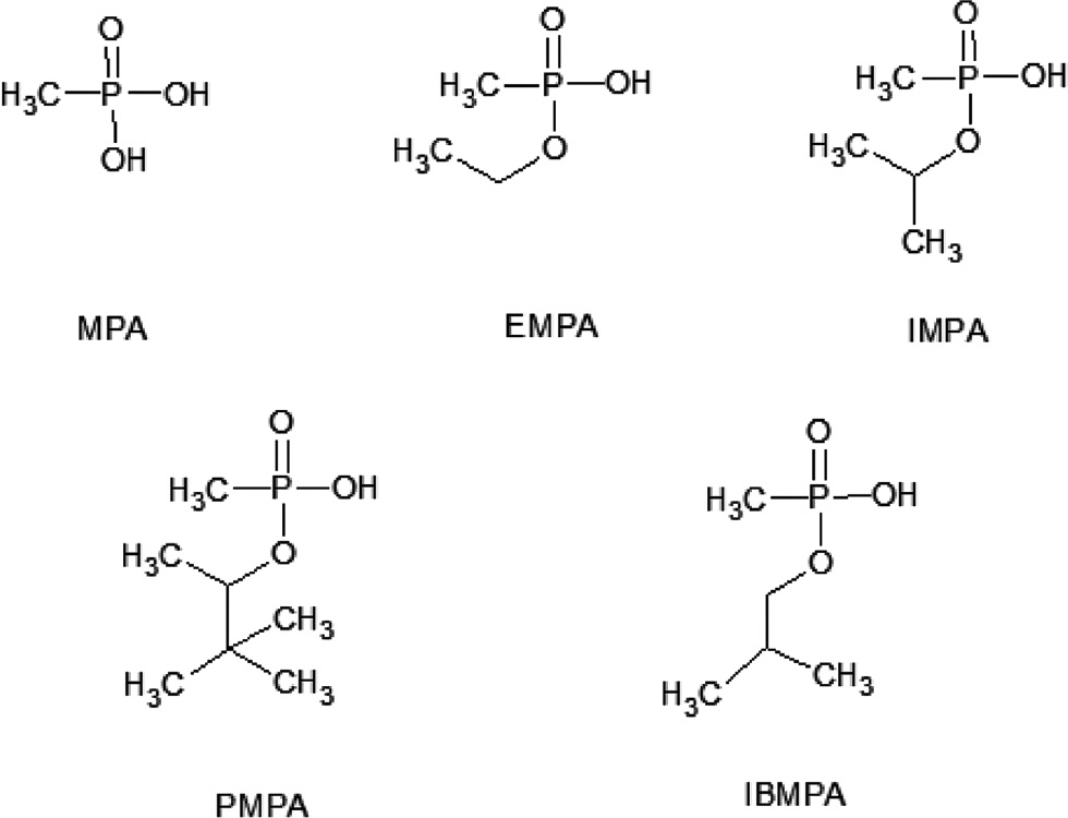 Fig. 4: 
            Chemical structure of MPA and AMPAs. MPA, Methylphosphonic acid; EMPA, ethyl methylphosphonic acid; IMPA, isopropyl methylphosphonic acid; PMPA, pinacolyl methylphosphonic acid; IBMPA, isobutyl methylphosphonic acid.
          