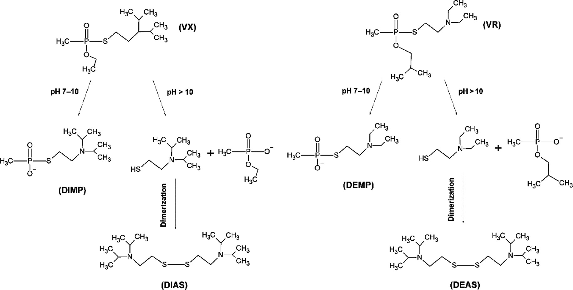Fig. 6: 
            Hydrolysis scheme of VX and VR with forming DEMP, DIMP, DEAS and DIAS.
          