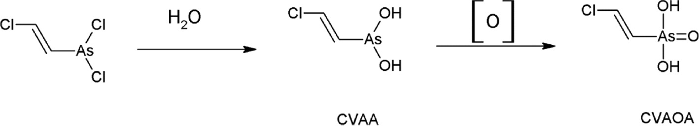 Fig. 8: 
            Degradation of lewisite forming CVAA and CVAOA.
          