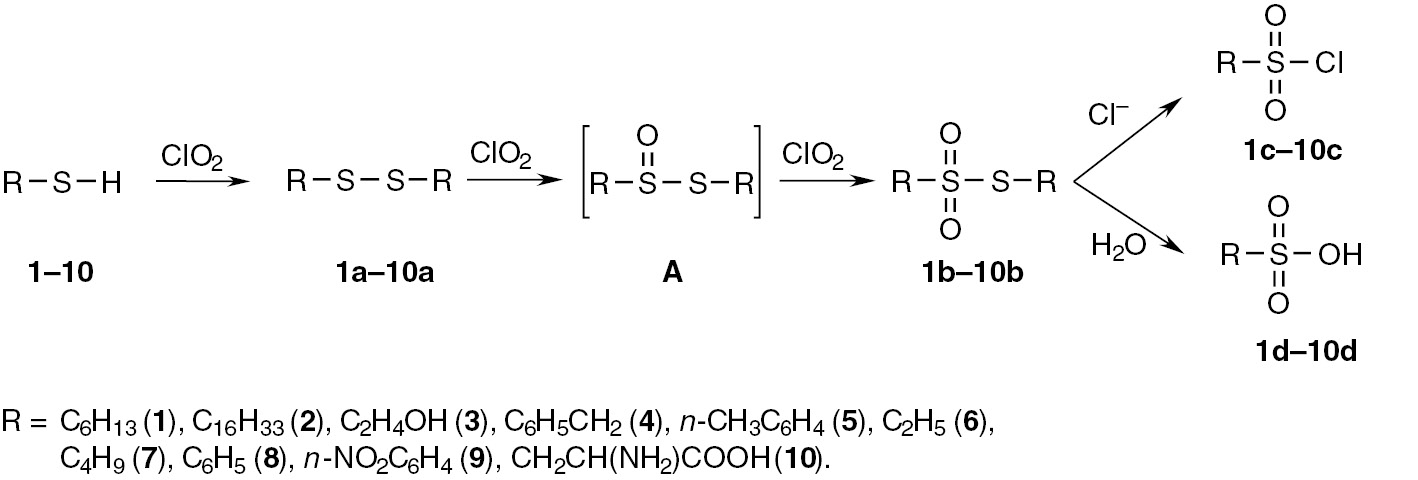 Scheme 1: 
              Reactions of chlorine dioxide with alkyl- and aryl thiol and disulfides.
            