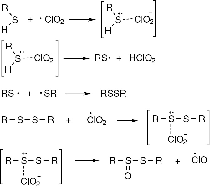 Scheme 2: 
              Formation of thiosulfinates.
            