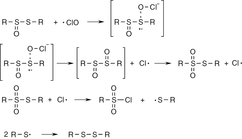 Scheme 3: 
              Formation of thiosulfonates and sulfonyl chlorides.
            