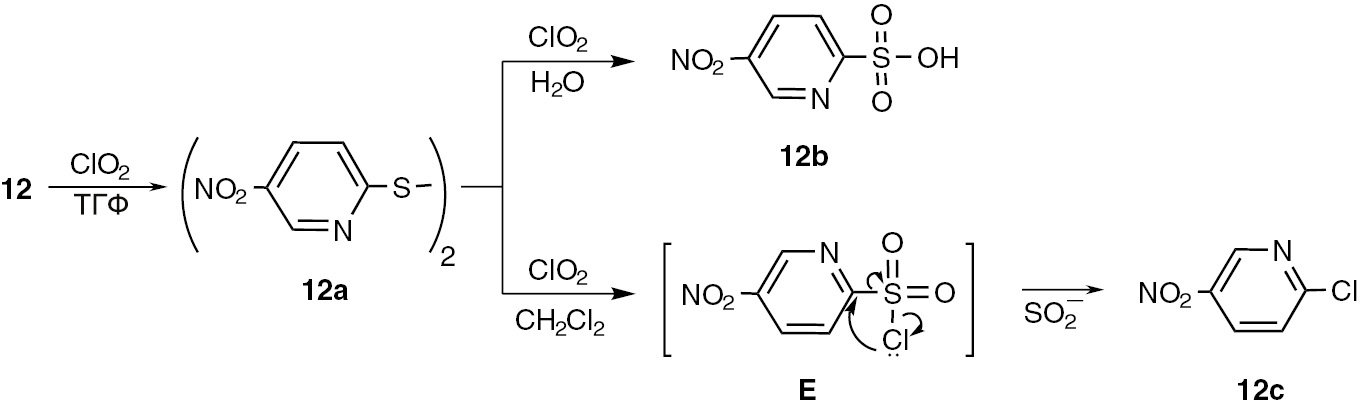 Scheme 5: 
              Reaction of chlorine dioxide with 5-nitropyridine-2-thiol 12.
            