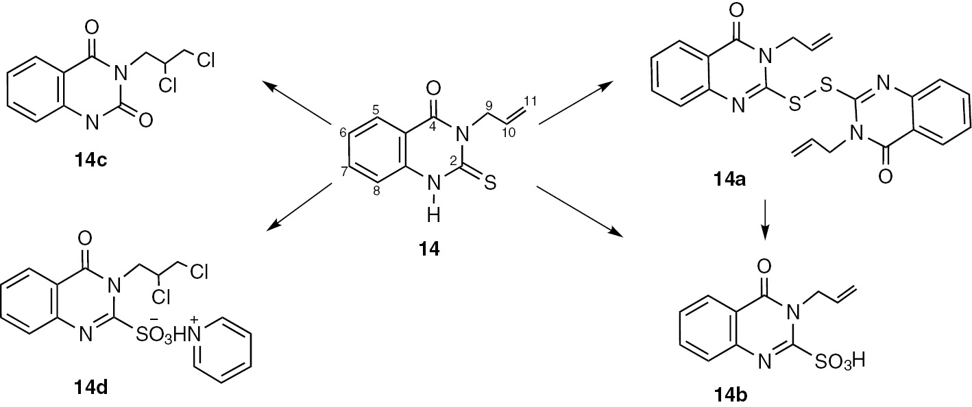 Scheme 7: 
              Reaction products of 3-allyl-2-sulfanylquinazolin-4(3H)-one 14 with chlorine dioxide.
            