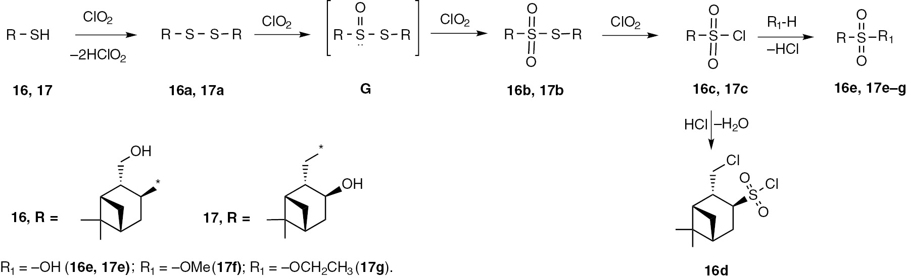 Scheme 8: 
              Reactions of ClO2 with pinane hydroxythiol 16, 17.
            