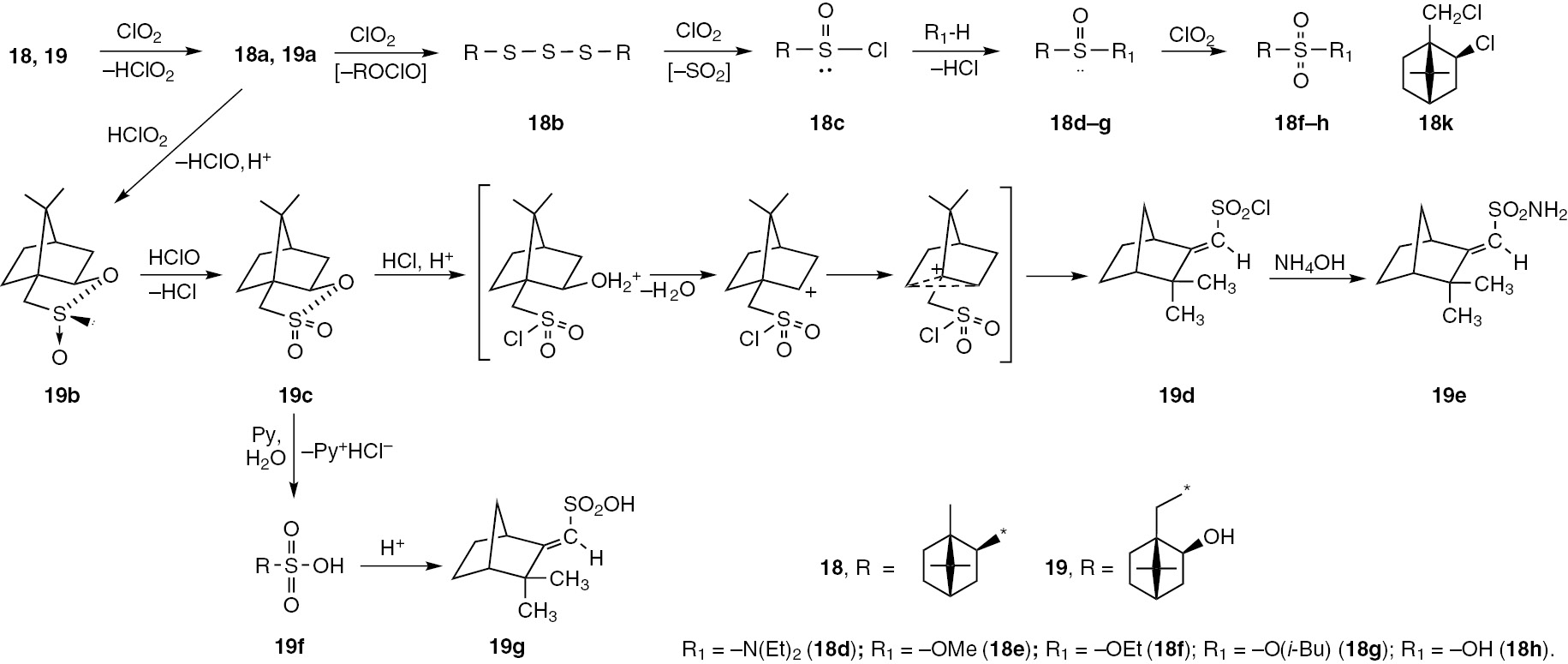Scheme 10: 
              Reaction of chlorine dioxide with isobornane thiols 18, 19.
            