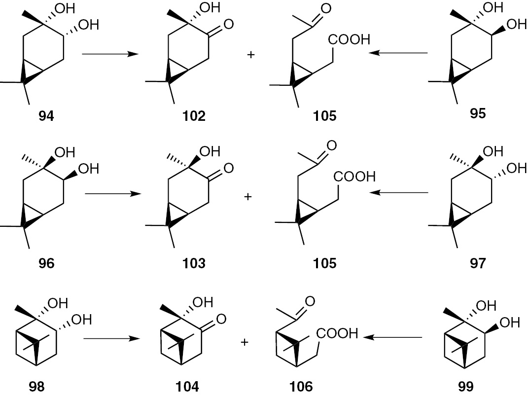 Scheme 21: 
              Reaction of chlorine dioxide with terpenic diols in pyridine.
            