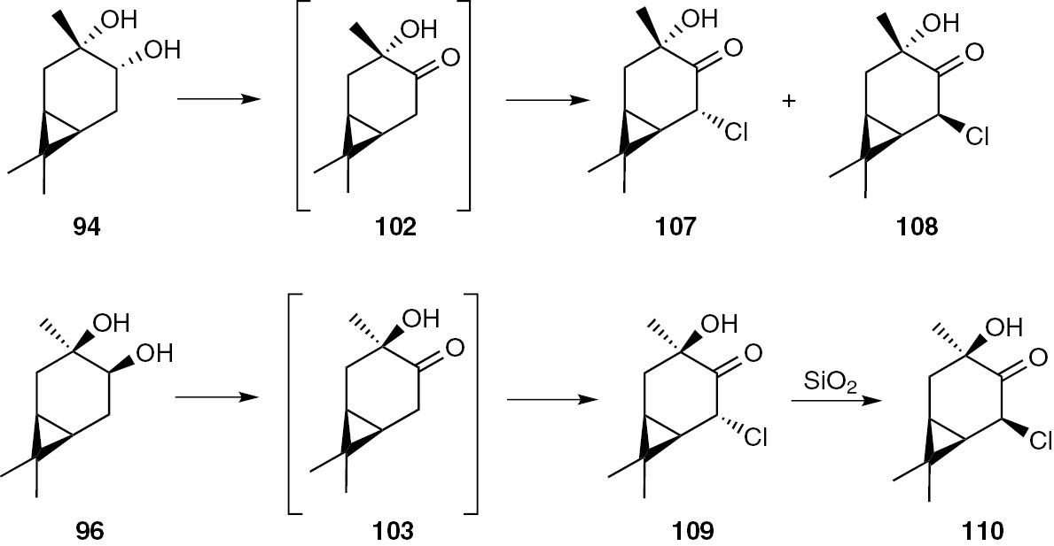 Scheme 22: 
              Reaction of chlorine dioxide with terpenic diols in DMF.
            