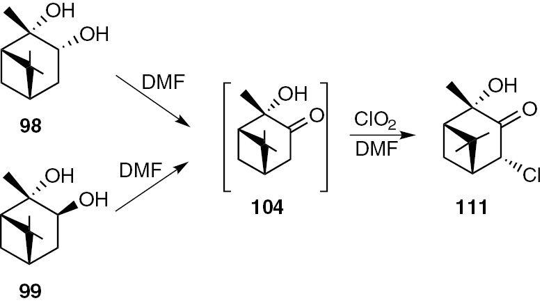 Scheme 23: 
              Oxidation of pinane diols 98, 99 by chlorine dioxide.
            