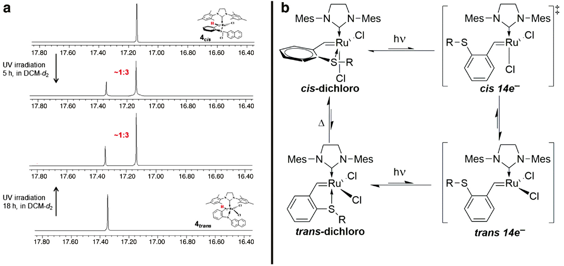Scheme 3: (a) Changes in the 1H NMR of the benzylidene hydrogen atom in cis and trans4 upon UV-irradiation at 365 nm; (b) Proposed photoisomerization mechanism of sulfur-chelated benzylidenes in dichloro ruthenium complexes (adapted from Ref. [49]).
