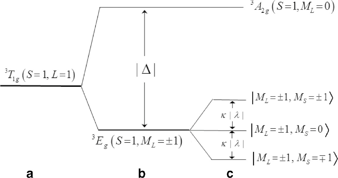 Fig. 4: 
            Splitting of the ground cubic 3T1g – term (a) of the Mn(III) ion by the negative trigonal CF (b) and SOC (c) in the limit of strong trigonal CF.
          
