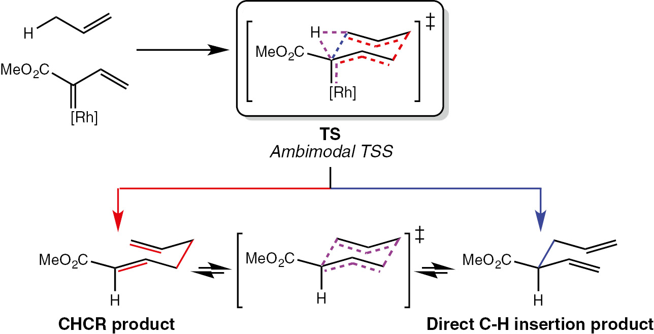 Fig. 13: The Rh(II)-catalyzed combined C–H insertion/Cope rearrangement investigated experimentally and computationally by Hansen et al. [73].See legend from Fig. 2.