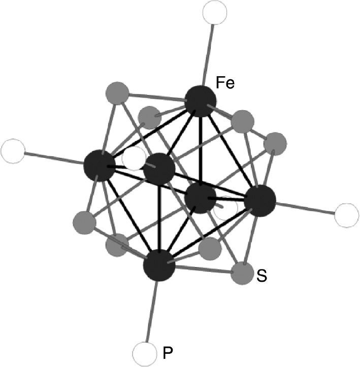 Fig. 1: View of the {Fe6S8}2+ cluster core with coordinated THP (only P atoms are shown).