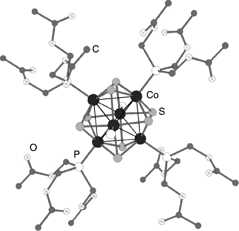 Fig. 3: View of [Co6S8(P(CH2O(O)CCH3)3)6] in [Co6S8(P(CH2OC(O)CH3)3)6]·H2O. The hydrogen atoms and two phosphine ligands are omitted for clarity.