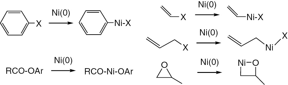 Fig. 1: 
              Main types of the oxidative addition reactions used for preparation of organonickel complexes. From ref [10].
            