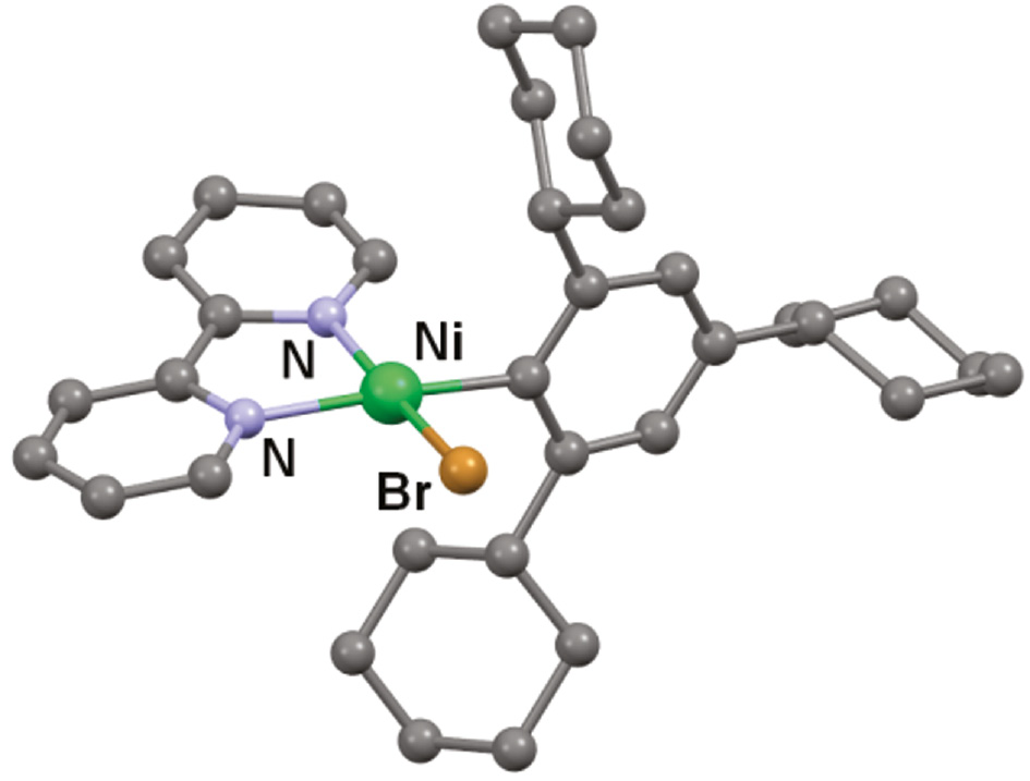 Fig. 2: 
              Molecular structure of organonickel complex bromo[2,2′ -bipyridine-2,4,6-tricyclohexylphenylnickel] with 50% thermal ellipsoids. Hydrogen atoms have been omitted for clarity.
            