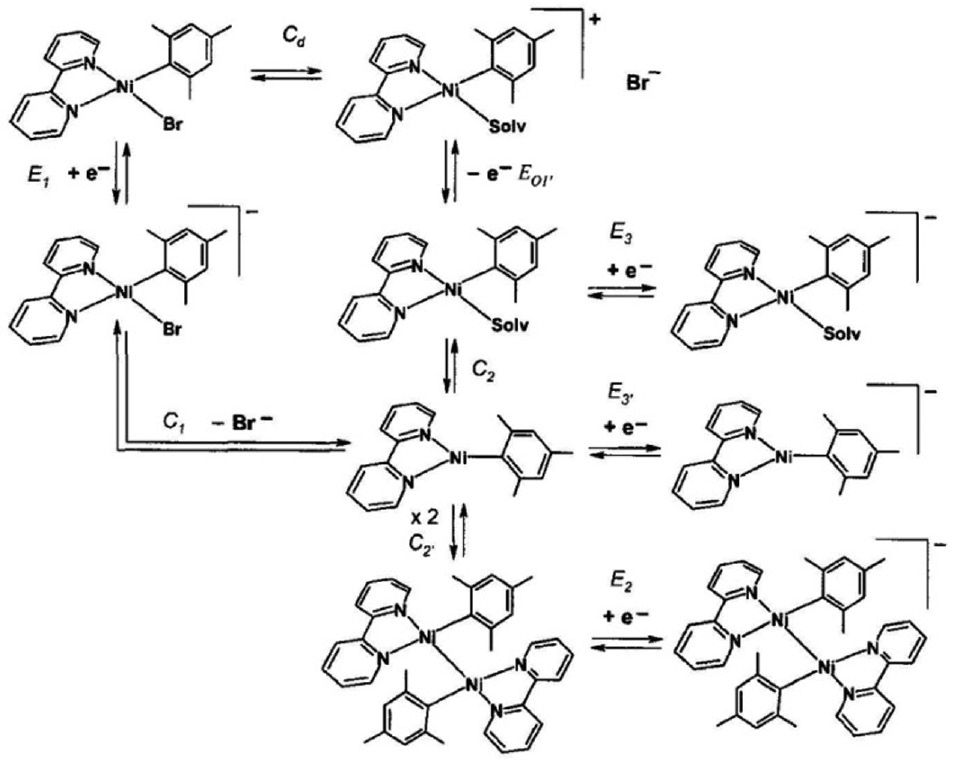 Scheme 3: 
            Electrochemical reactions of organonickel complex [NiBr(Mes)(bpy)]. From ref [45].
          