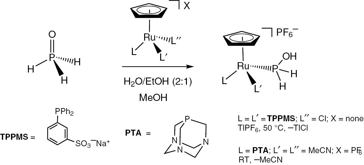 Scheme 9: 
            Synthesis of [CpRu(TPPMS)2{H2P(OH)}]PF6 and [CpRu(PTA)(CH3CN){H2P(OH)}]PF6 from H3PO trapping.
          