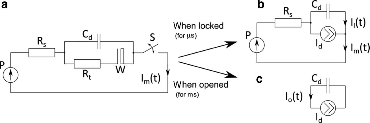 Fig. 1: 
          (a) General scheme of the measuring electrical circuit for interrupted amperometry. (b) Simplified circuit for the locked state. (c) Simplified circuit for the opened state. P, potentiostat providing the polarizing voltage; RS, total ohmic resistance of electrochemical cell; Rt, charge transfer resistance; Cd, double layer capacity; W, Warburg impedance; S, switcher; Im(t), measured current; Id, direct current of electrochemical reaction; Il(t), current emerging in the outer circuit path at the locked state; Io(t), double layer discharging current at the opened state.
        
