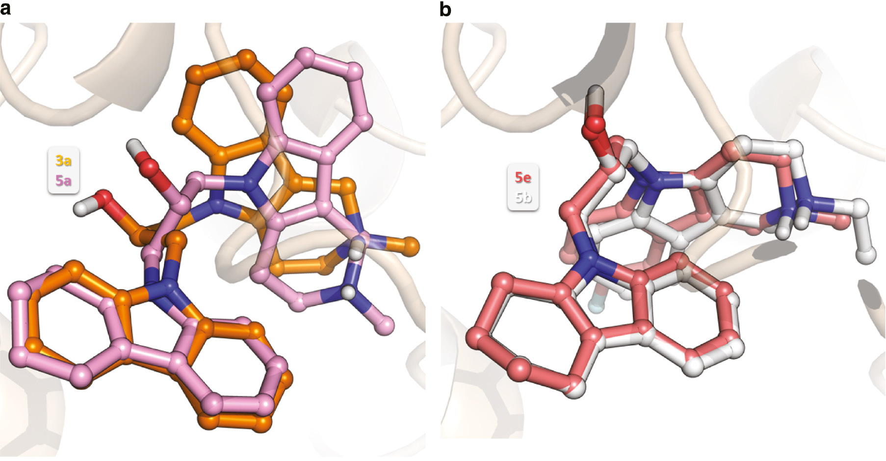Focused design of polypharmacophoric neuroprotective