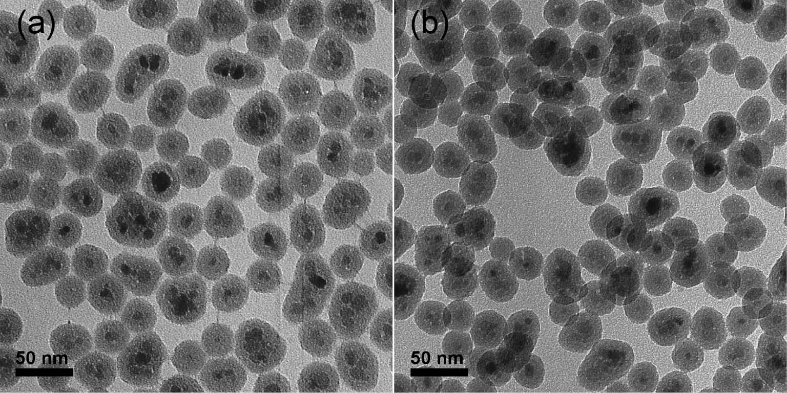 Fig. 2: 
						Micrographs obtained by TEM of Fe3O4@SiO2 materials (a) as-prepared and (b) after calcination.
					