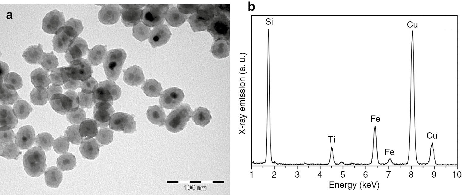 Fig. 7: 
						(a) Micrograph obtained by TEM of Fe3O4@SiO2-TiO2 and (b) energy dispersive X-ray spectroscopy (EDS) analysis.
					