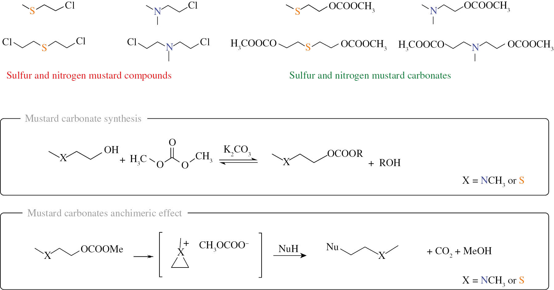 Fig. 2: 
					Molecular structure, synthesis and reactivity of mustard carbonates.
				