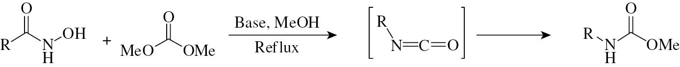 Scheme 2: 
					A variant of the Lossen rearrangement via DACs chemistry.
				
