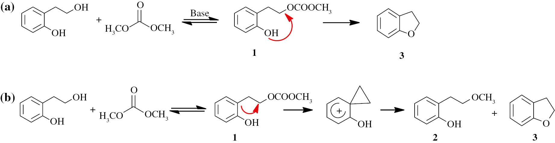 Scheme 7: 
						A comparison of the cyclization reaction conducted in basic condition (a) and in acidic condition (b).
					