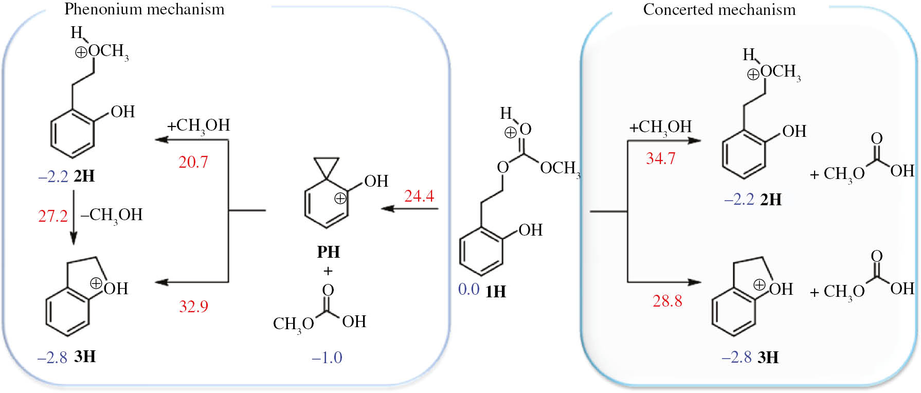 Scheme 8: 
						Concerted and stepwise (via phenonium) mechanisms starting from the protonated carbonate derivative 1H. ΔG (363 K) values at the DFT(M06-2X)+PCM/cc-pVTZ in kcal mol−1.
					