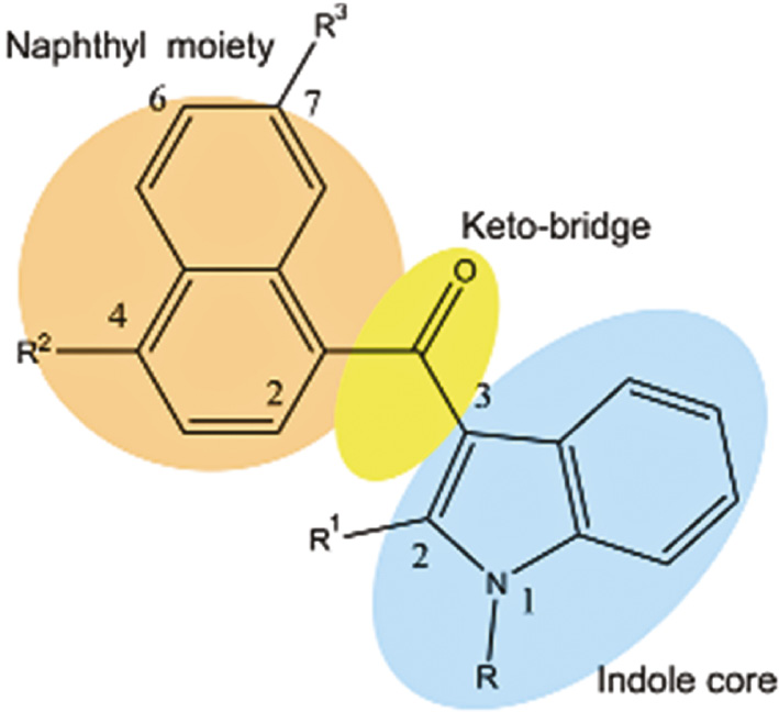 Fig. 5: 
            Generic structure of indole-based synthetic cannabinoids (adapted from [87]).
          