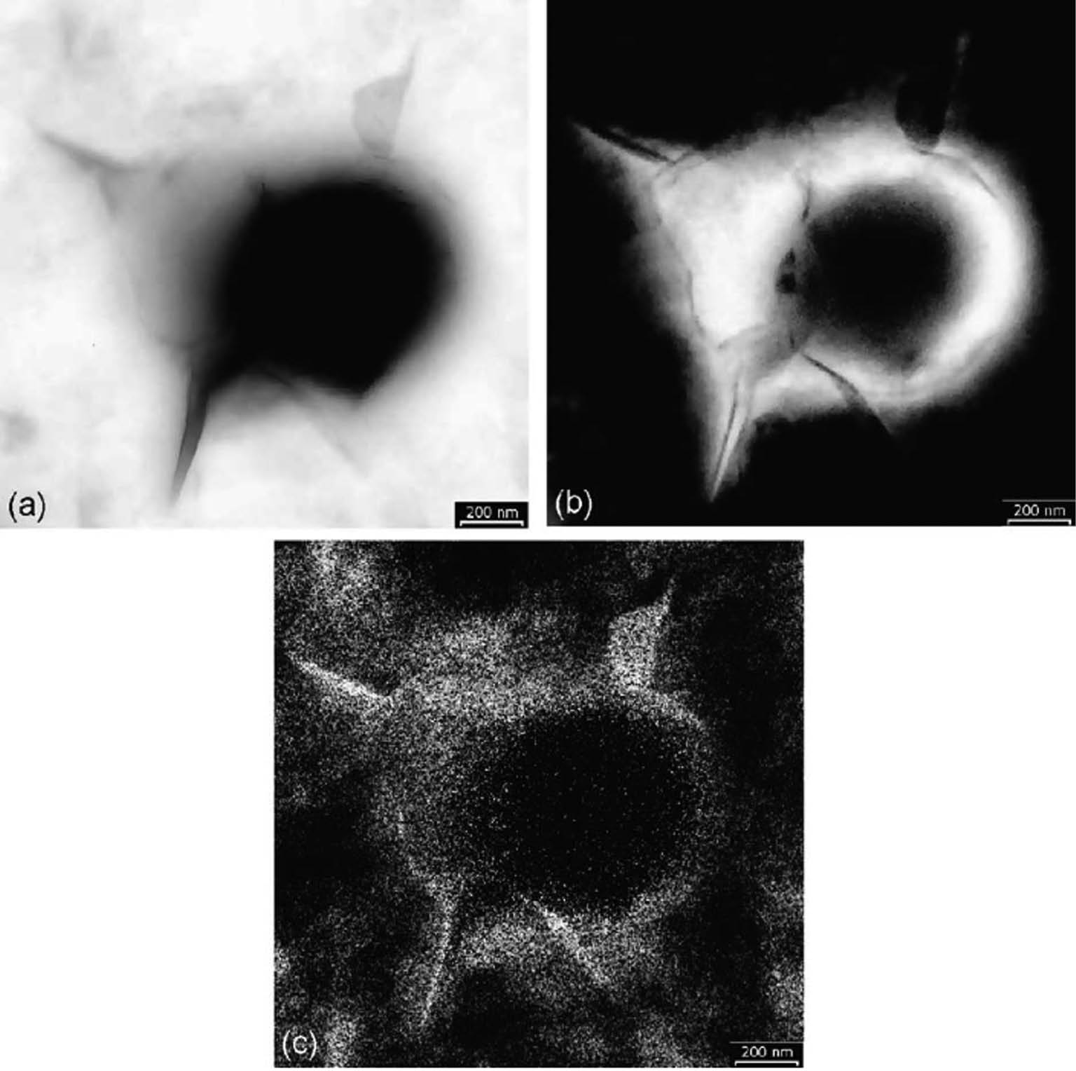Fig. 2: 
						ESI-TEM micrographs of a rubber–clay particles cluster formed when a dilute dispersion of latex and montmorillonite is allowed to dry over a microscope grid: (a) bright field image, (b) carbon map and (c) silicon map. (From Ref. [20], by permission of ACS.)
					