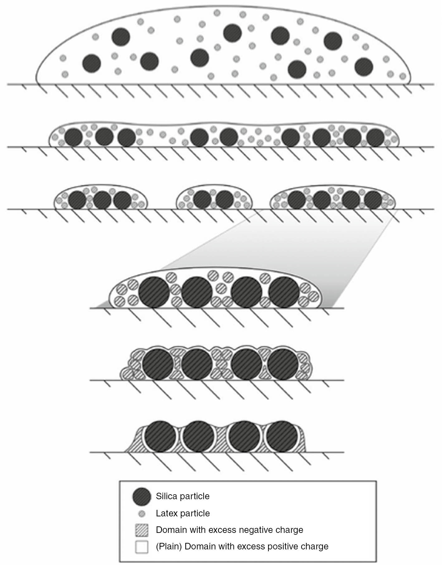 Fig. 3: 
						Schematic description of the events involved in the adhesion of silica to latex particles. (From Ref. [21], by permission of ACS.)
					