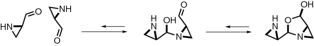 Scheme 2:
Equilibrium between the monomeric and dimeric forms of aziridine aldehydes.