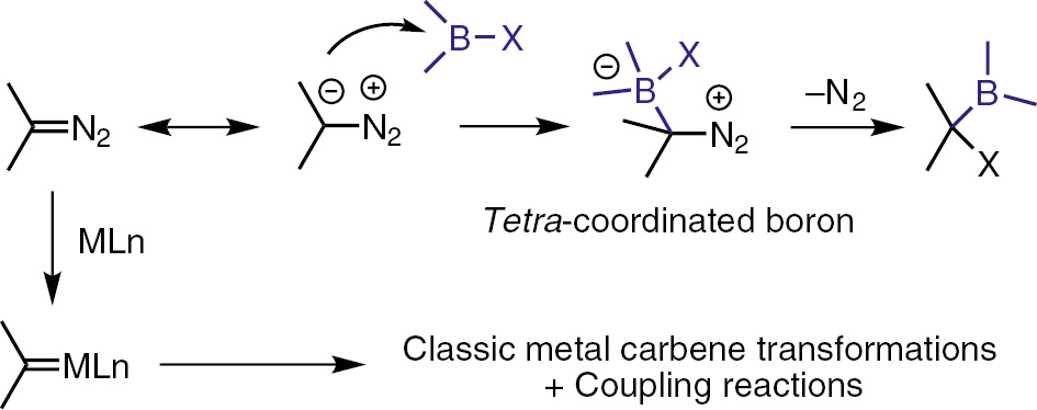 Scheme 1:
Diazo compounds as nucleophiles vs. as carbene precusors.