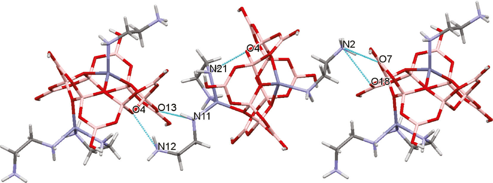 Fig. 5: 
            Intermolecular H-bond interactions involving the amino hydrogen atoms link the dodecaborates(6−) anions into an extended chain. The D···A oxygen atom distances as follows: N2H2C···O7*, 2.914(5) Å; N2H2C···O18*, 3.068(5) Å; N11H11B···O13*, 3.053(5) Å; N12H12A···O4*, 2.903(5) Å, where * indicates an acceptor oxygen atom of a neighboring unit. The intramolecular H-bond interaction is also shown: N21H21B···O4, 2.871(5) Å. H2O molecules omitted for clarity.
          