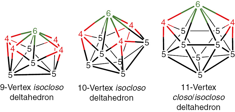 Fig. 2: 
          The isocloso deltahedra providing a degree 6 vertex for a transition metal atom. Since the 11-vertex closo deltahedron already has a degree 6 vertex, the closo and isocloso 11-vertex deltahedra are the same.
        