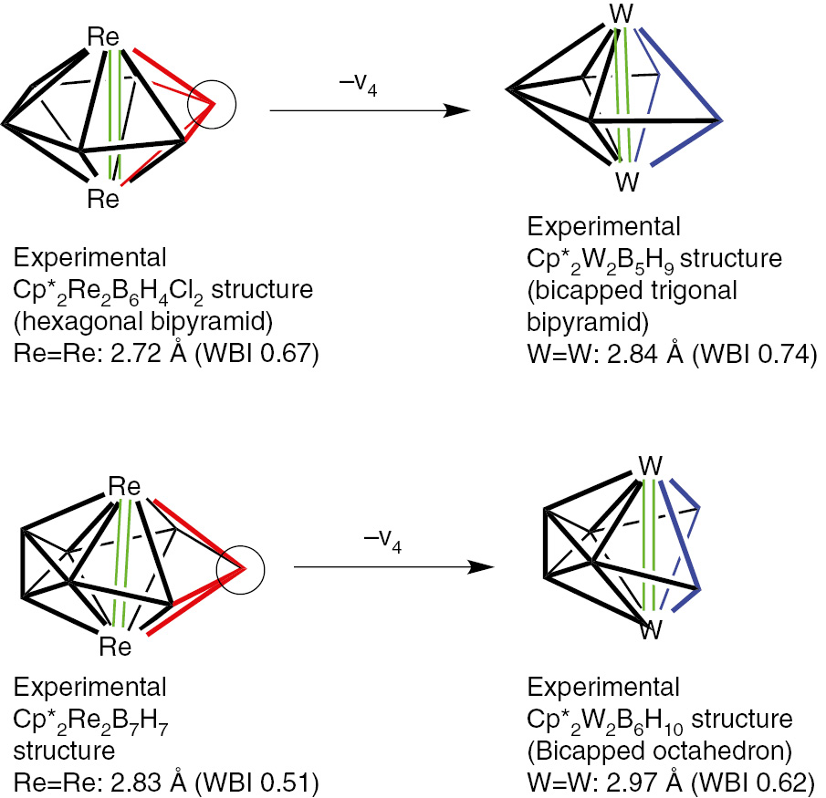 Fig. 8: 
          Formation of the oblatonido ditungstaboranes Cp*2W2Bn−2Hn+2 (n=7, 8) structures by removal of a boron vertex from the oblatocloso dirhenaboranes Cp2Re2Bn2Hn−2.
        
