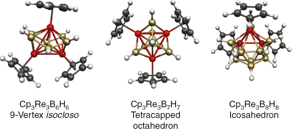 Fig. 12: 
          The lowest energy Cp3Re3Bn−3Hn−3 (n=9, 10, 12) structures.
        