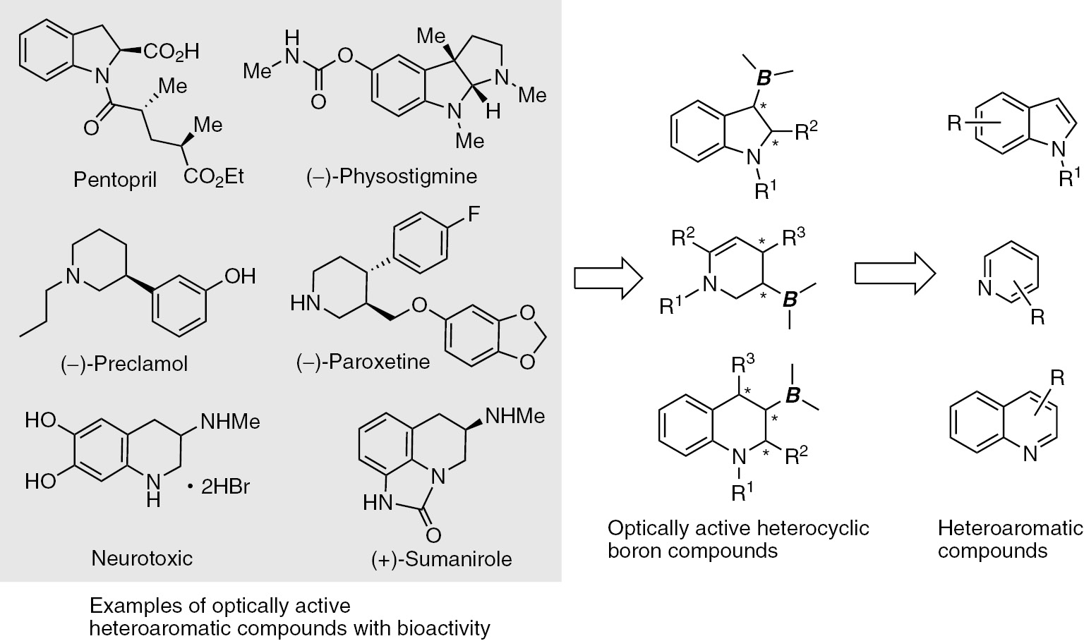Scheme 1: 
          Schematic presentation of enantioselective dearomative borylation.
        