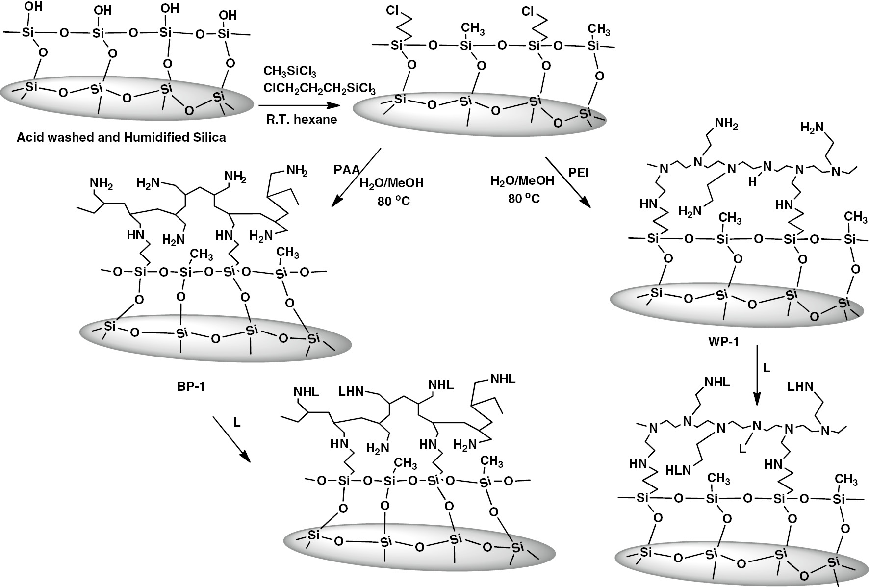 Fig. 1: 
          Stepwise synthesis of SPC.
        