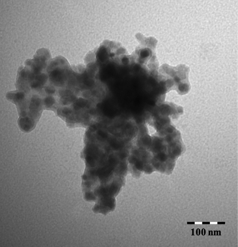 Fig. 3: 
          TEM micrograph of TEOS coated magnetite.
        